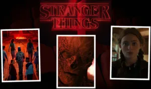 AMC NETFLIX