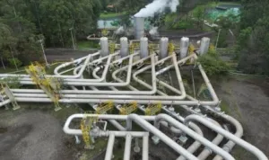 Prajogo Pangestu , Barito Pacific, Harga Saham