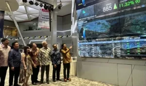 Saham MBMA, Investor