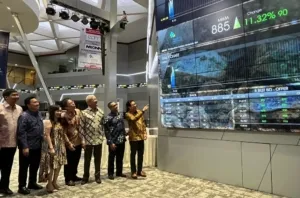 Saham MBMA, Investor