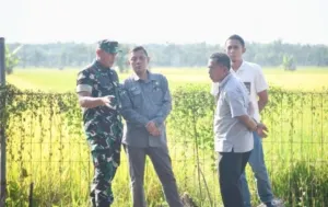 Ngawi Lumbung Padi Nasional, Danrem Untoro Dorong Peningkatan Produktivitas