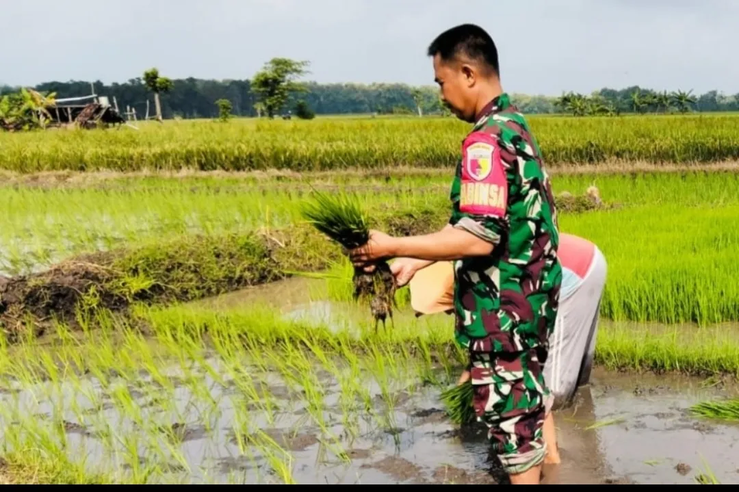 Korem 081/DSJ Gaspol LTT, Ribuan Hektare Terealisasi dalam Hitungan Hari di Awal 2026