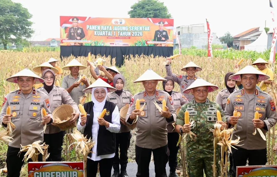 Polda Jatim Gelar Panen Raya Jagung Serentak Kuartal IV di Sidoarjo