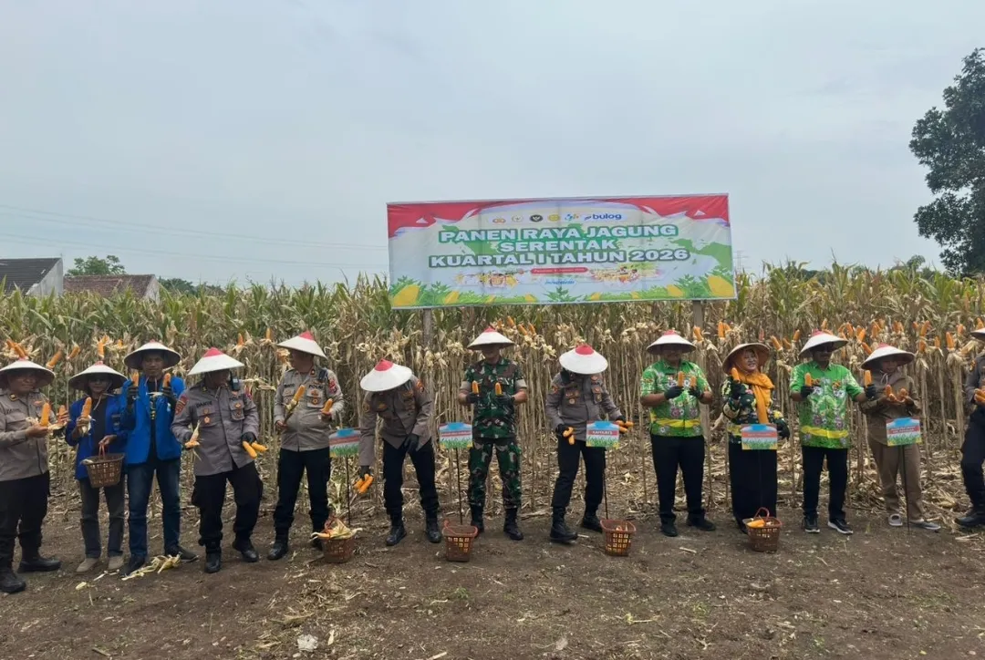 Panen Jagung Serentak Kuartal I 2026 bersama Kapolri, Kapolres Pasuruan Tegaskan Komitmen Ketahanan Pangan