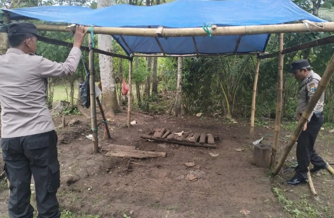 Polres Malang Kembali Bongkar Area Sabung Ayam di Kalipare