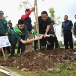 Surabaya dapat 3000 Pohon Dari CSR PLN