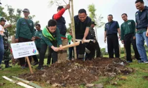 Surabaya dapat 3000 Pohon Dari CSR PLN