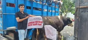 Aksi Massal Jagal Sapi