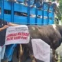 Aksi Massal Jagal Sapi