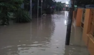 Banjir di Pemalang, Kemensos