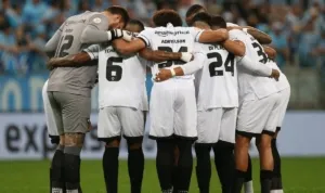 Botafogo Cruzeiro , Copa Libertadores,