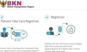 cpns 2019 ilustrasi