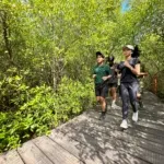dok. Kebun Raya Mangrove Surabaya (24) dok. Kebun Raya Mangrove Surabaya 24