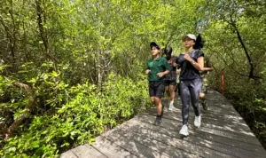 dok. Kebun Raya Mangrove Surabaya 24