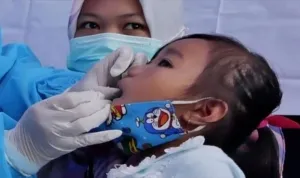 Super Flu di Indonesia, Influenza,