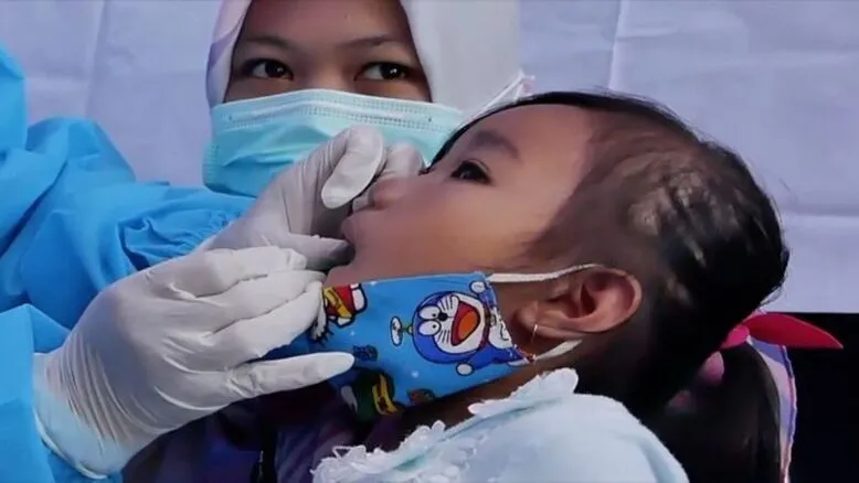 Super Flu di Indonesia, Influenza,