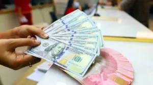 Perkembangan Nilai Tukar Rupiah USD dan Prediksi Ekonomi Indonesia