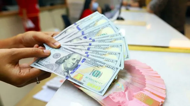 Perkembangan Nilai Tukar Rupiah USD dan Prediksi Ekonomi Indonesia