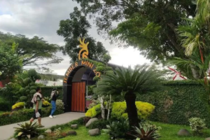 5 destinasi wisata keluarga di Jember, mulai dari alun-alun hingga mini zoo