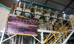 stok-beras-di-gudang-bulog-jatim-1a95l-dom.jpg stok beras di gudang bulog jatim 1a95l dom