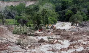 tanggap darurat bencana gempa 6zg5 dom