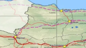Infrastruktur Pedesaan Berubah: Jalan Beton di Tengah Sawah Bojonegoro