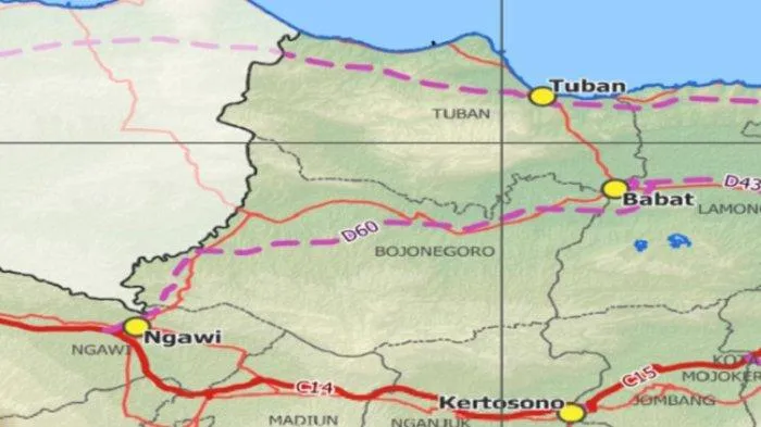Infrastruktur Pedesaan Berubah: Jalan Beton di Tengah Sawah Bojonegoro
