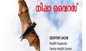 Nipah Virus ,Singapura