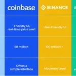 BCB Comparison Infographic Website 1