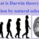 Darwin theory of evolution