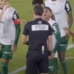 Fluminense , Palmeiras