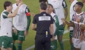 Fluminense , Palmeiras Fluminense , Palmeiras