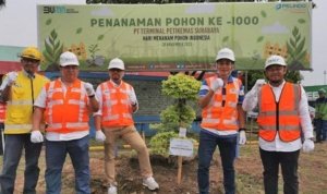 Kegiatan tanam bibit pohon di peringatan HMPI
