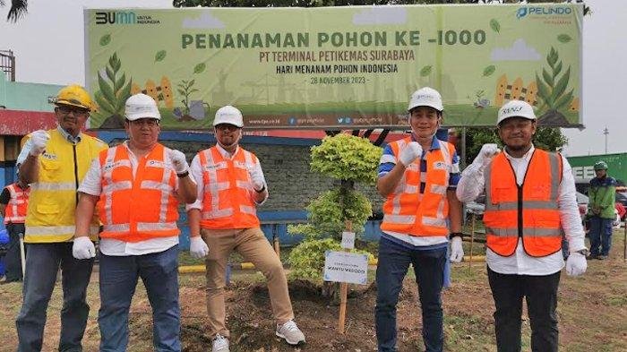 Inisiatif Lingkungan PT Terminal Petikemas Surabaya: Konservasi Alam Melalui Penanaman Pohon Pinus