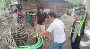 Polresta Sidoarjo Bongkar Dua Arena Sabung Ayam di Lokasi Berbeda