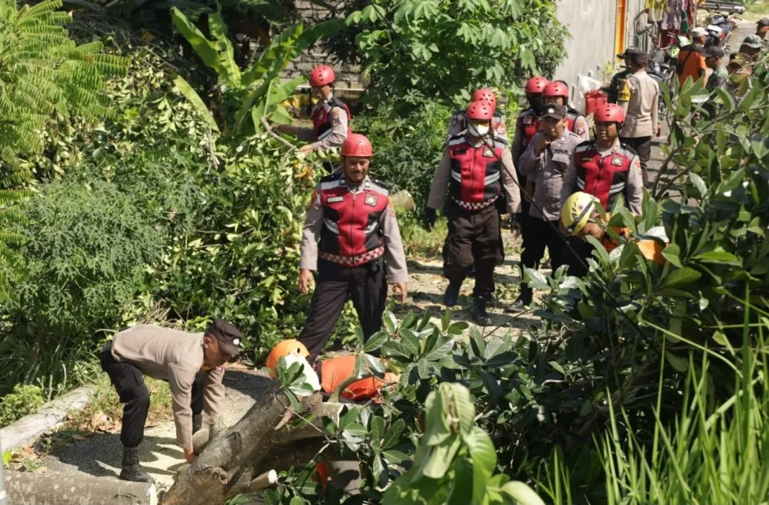 Tanggap Bencana, Polres Tuban Tangani Dampak Angin Puting Beliung 1 Tanggap Bencana, Polres Tuban Tangani Dampak Angin Puting Beliung