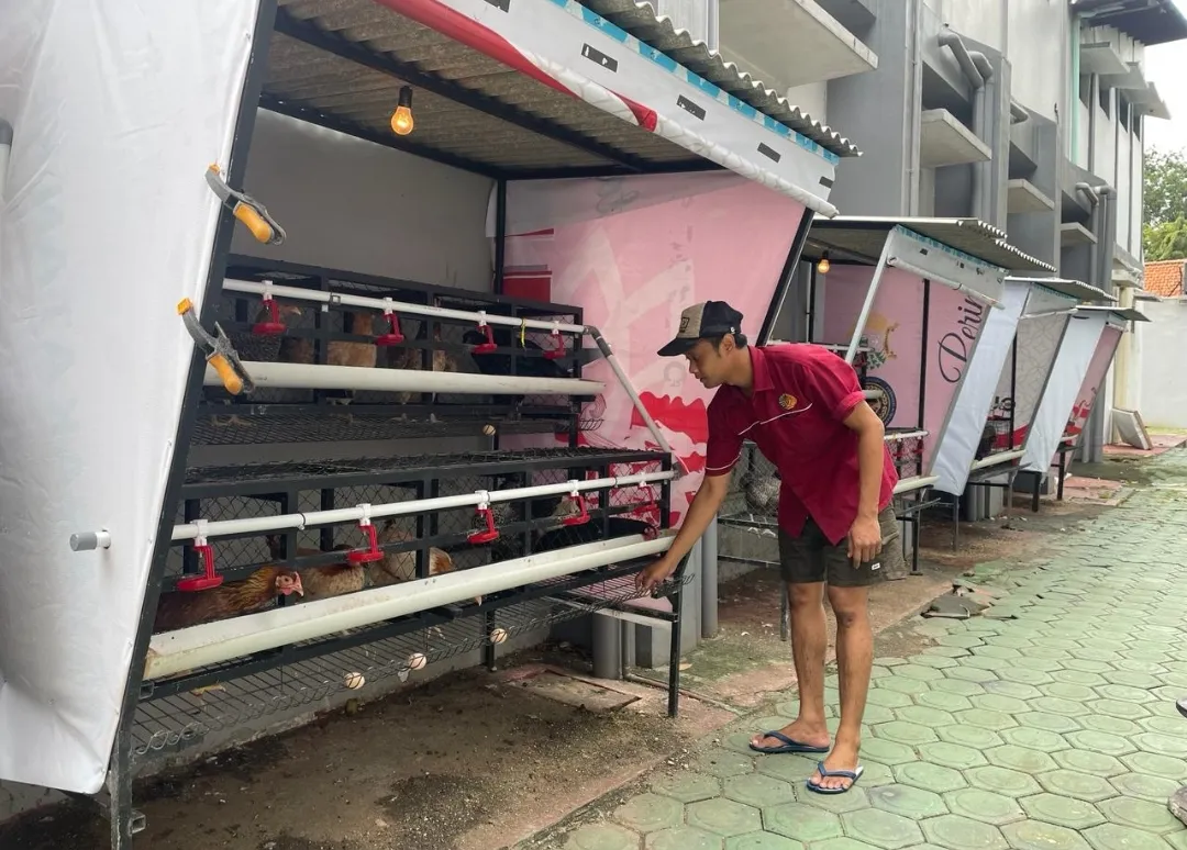 Lapas Sidoarjo: Kemandirian WBP Dimulai dari Budidaya Ayam Petelur