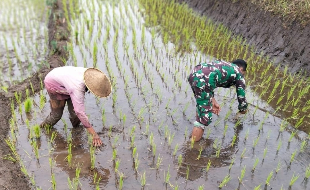 Aksi Kopda Bangkit Dampingi Petani di Desa Binaan