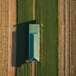 agriculture 0 768x768 1
