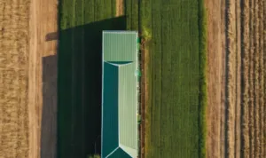 agriculture 0 768x768 1
