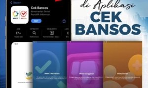 aplikasi cek bansos 2025 makin mudah