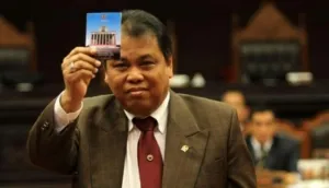 Arief Hidayat ,Mahkamah Konstitusi