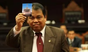 Arief Hidayat ,Mahkamah Konstitusi