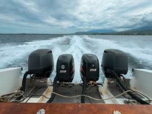 Jadwal dan Harga Tiket Kapal Feri Lombok-Bali