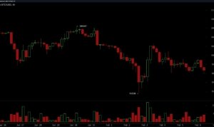 Harga Bitcoin, Pasar Kripto