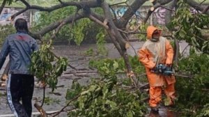 Dampak Cuaca Ekstrem di Surabaya: Listrik Padam dan Infrastruktur Rusak