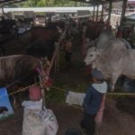 Sofi Indriasari, DPRD Bondowoso ,Fraksi PDI Perjuangan