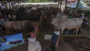 Sofi Indriasari, DPRD Bondowoso ,Fraksi PDI Perjuangan