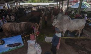 Sofi Indriasari, DPRD Bondowoso ,Fraksi PDI Perjuangan