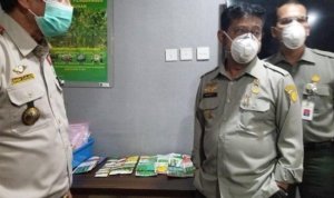 menteri pertanian syahrul yasin limpo melakukan inspeksi pengawasan tindakan karantinaa